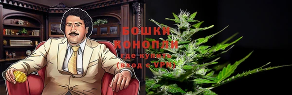 тгк Ельня