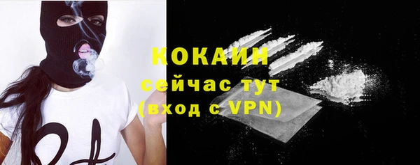 тгк Ельня