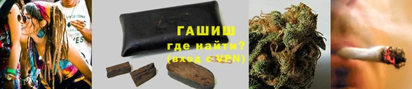 тгк Ельня