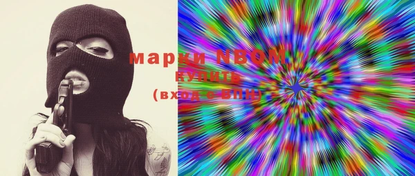 тгк Ельня