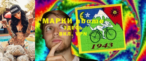 тгк Ельня