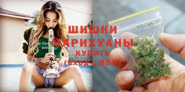 тгк Ельня