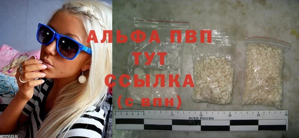 тгк Ельня