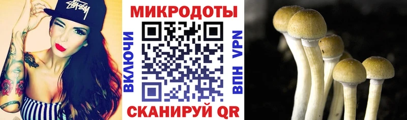 Псилоцибиновые грибы MAGIC MUSHROOMS  Купить где  Клин 